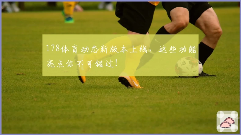 178体育动态新版本上线，这些功能亮点你不可错过！